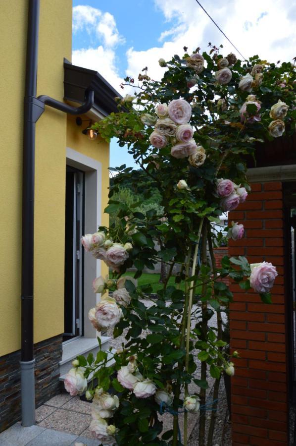 Apartment Kancler Nova Gorica Exterior foto